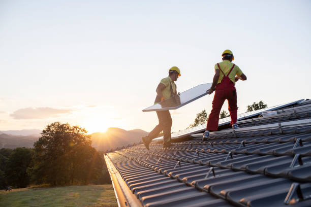 Best Roof Moss and Algae Removal  in West Long Branch, NJ